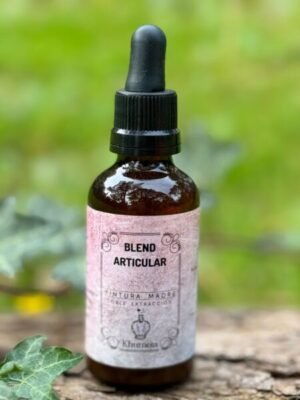 Blend articular