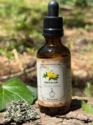 Diente de Leon (Taraxacum officinale)