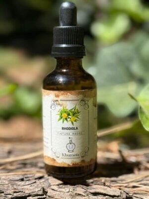 Rhodiola (Rhodiola rosea)