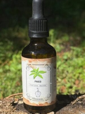 Paico (Dysphania ambrosioides)