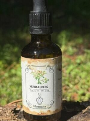 Yerba lucero (Pluchea sagittalis)