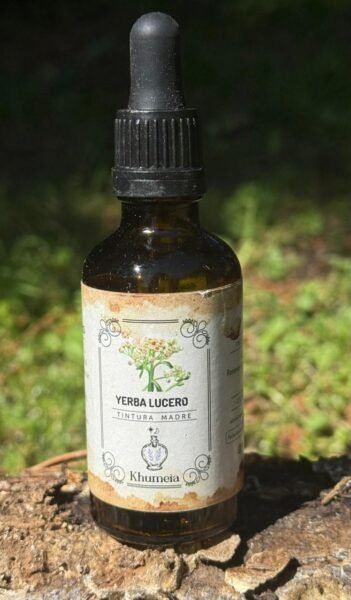 Yerba lucero (Pluchea sagittalis)