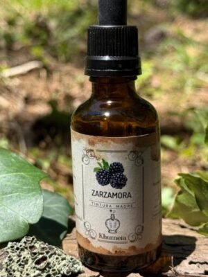 Zarzamora (Rubus ulmifolius)