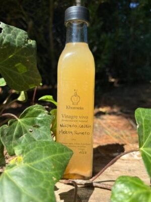 Vinagre vivo de Nispero y Adaptogeno
