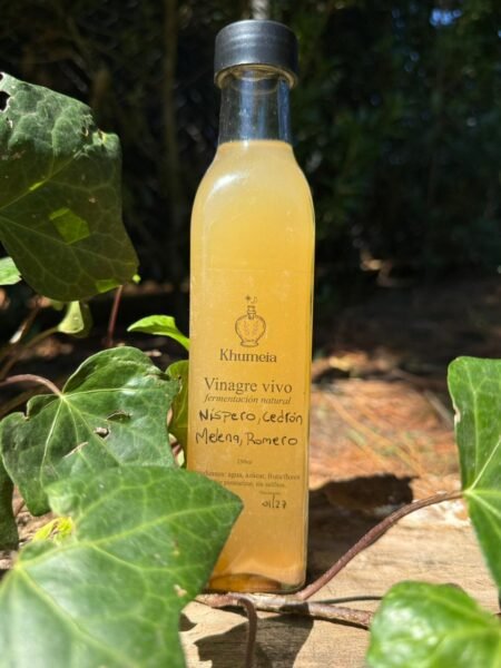 Vinagre vivo de Nispero y Adaptogeno