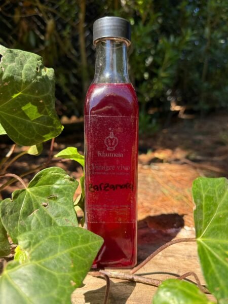 Vinagre de Zarzamora