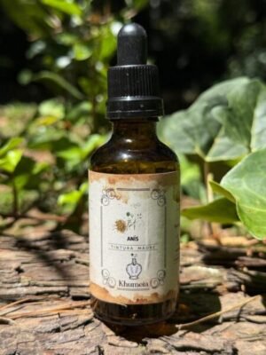 Anis (Pimpinella anisum)