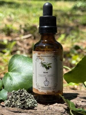 Olivo (Olea europea)