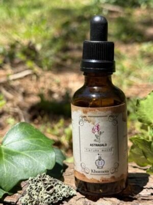 Astragalo (Astragalus membranaceus)