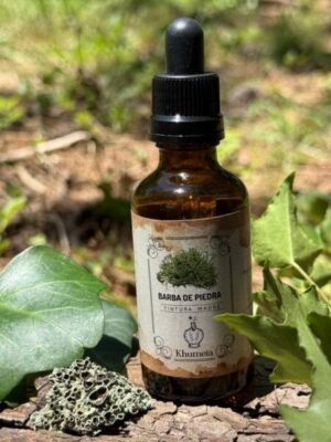 Barba de piedra (Usnea barbata)