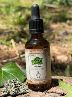 Oregano (Origanum vulgare)