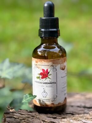 Hibiscus (Hibiscus sabdariffa)