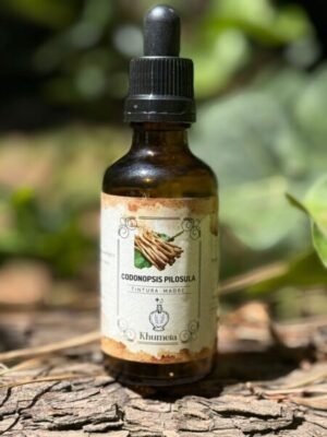 Codonopsis pilosula (Dang shen)