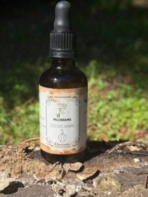 Achillea milleflium (Milenrama)