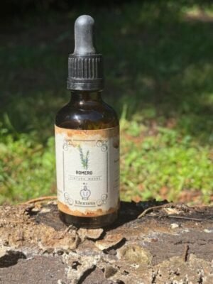 Romero (Rosmarinus officinalis)