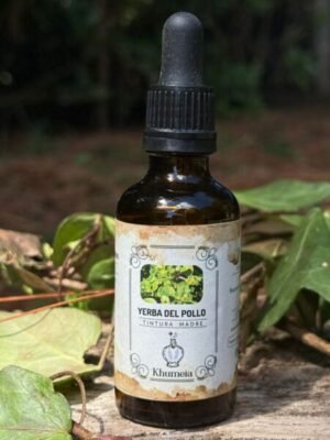 Yerba del pollo (Alternanthera pungens)