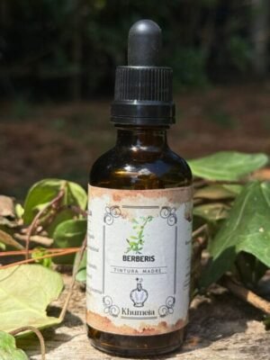 Berberis (Berberis ruscifolia)