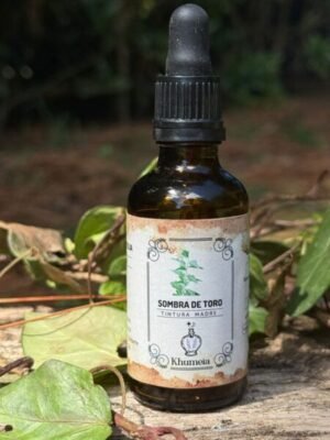 Sombra de toro (Jodina rhombifolia)