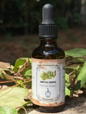 Anis de campo (Tagetes filifolia)