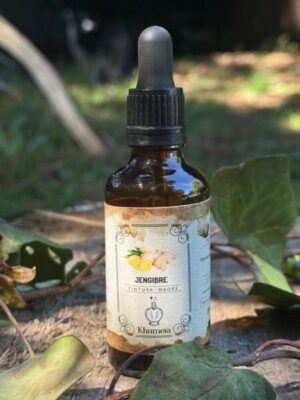 Jengibre (Zingiber officinale)