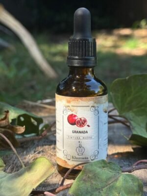 Granada ( Punica granatum)