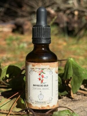 Bayas de goji ( Lycium barbarum)